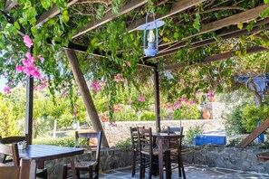 Outdoor dining - Greek Tradidional Hotel under the ancient  temple of Aphaia. (aegina)