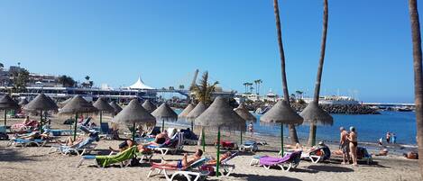 A beach with sun loungers, palm trees, and a clear blue sky.