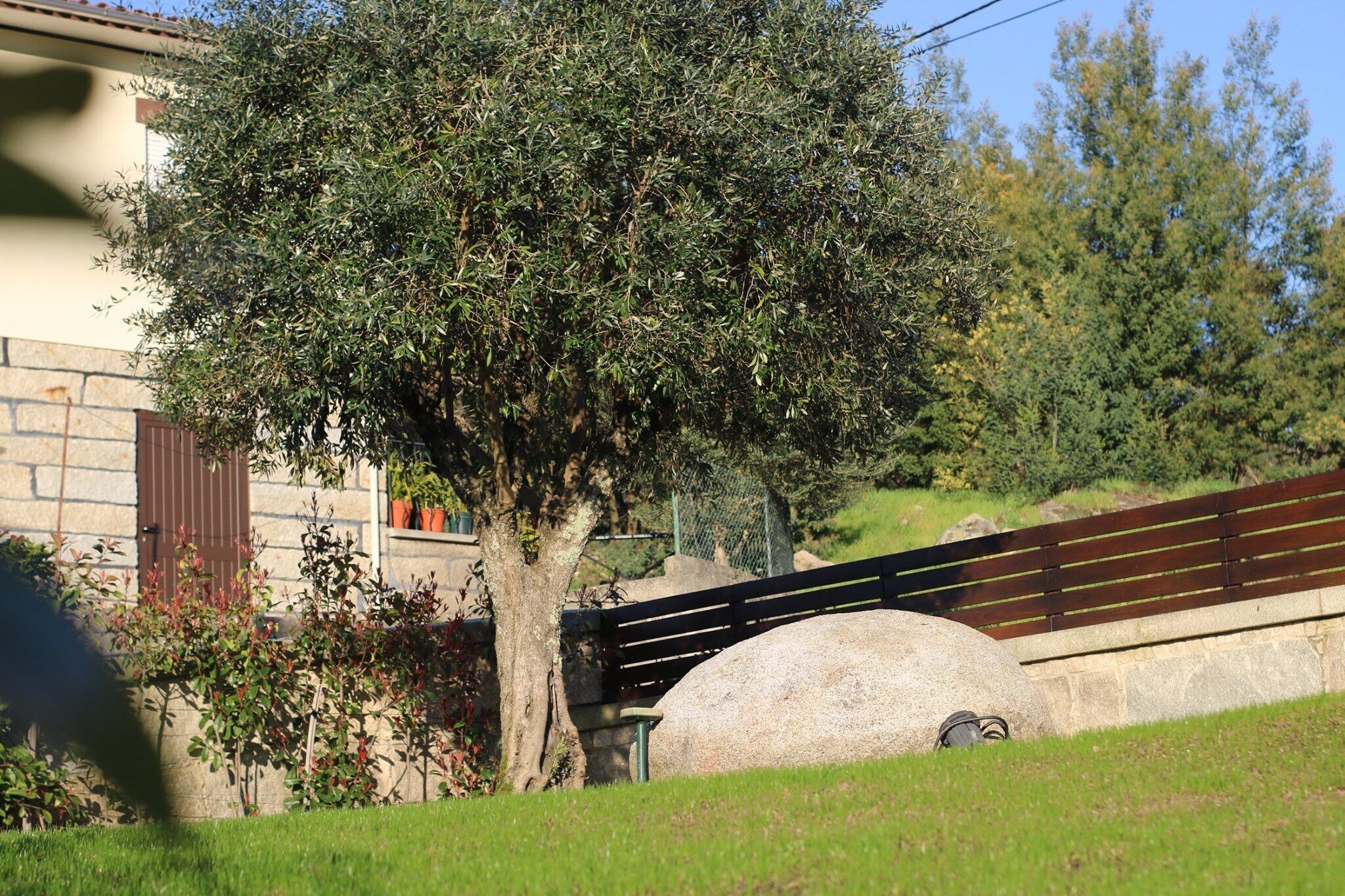Un sentier bordé d’arbres, avec un banc en pierre et un mur en pierre.