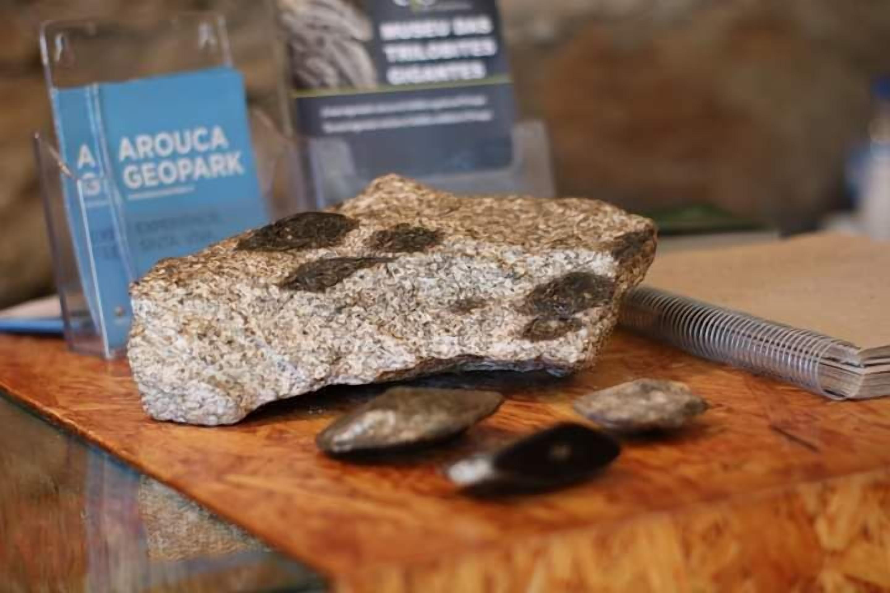 Photo - Villa Tavares Suítes