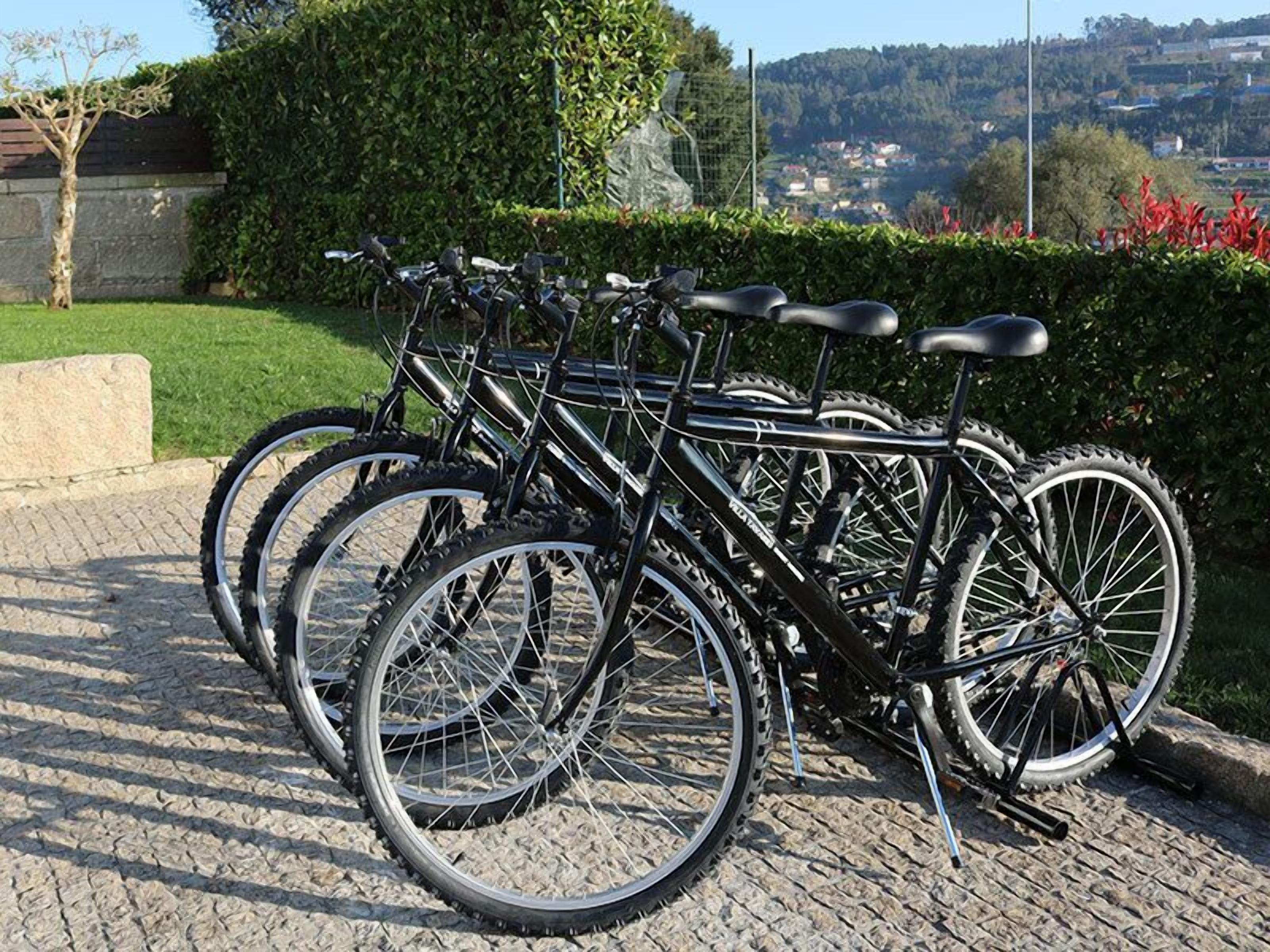 Une rangée de vélos est stationnée sur un chemin pavé de pierres, offrant une vue sur un paysage verdoyant et des bâtiments en arrière-plan.