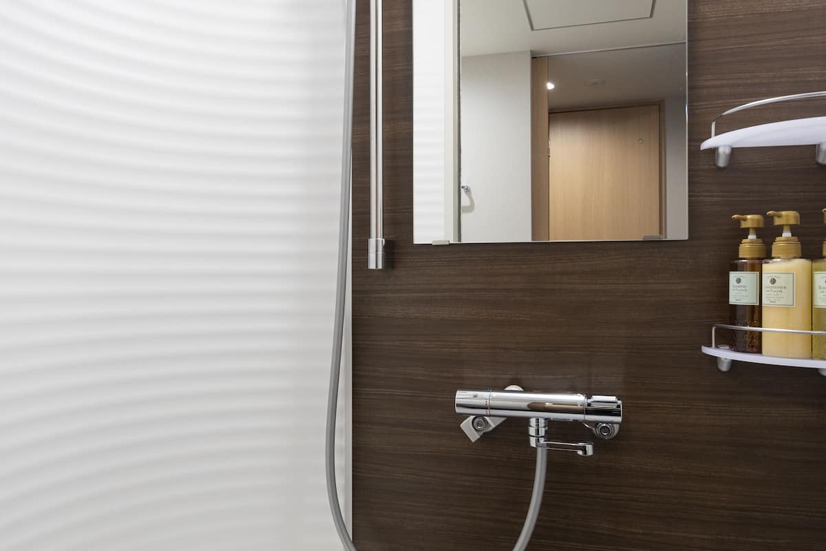 shower, free toiletries, hair dryer, slippers