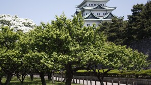 A traditional Japanese castle with multiple tiers and a green roof, surrounded by lush green trees and a stone wall. - APA Hotel Nagoya Ekimae Kita (Nagoya)
