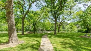 House, 3 Bedrooms | Property grounds