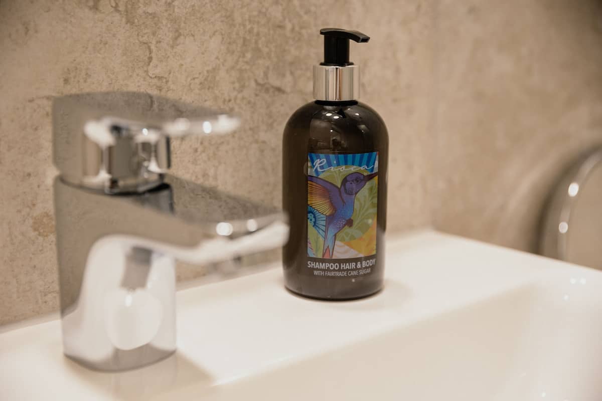 shower, rainfall showerhead, free toiletries, hair dryer