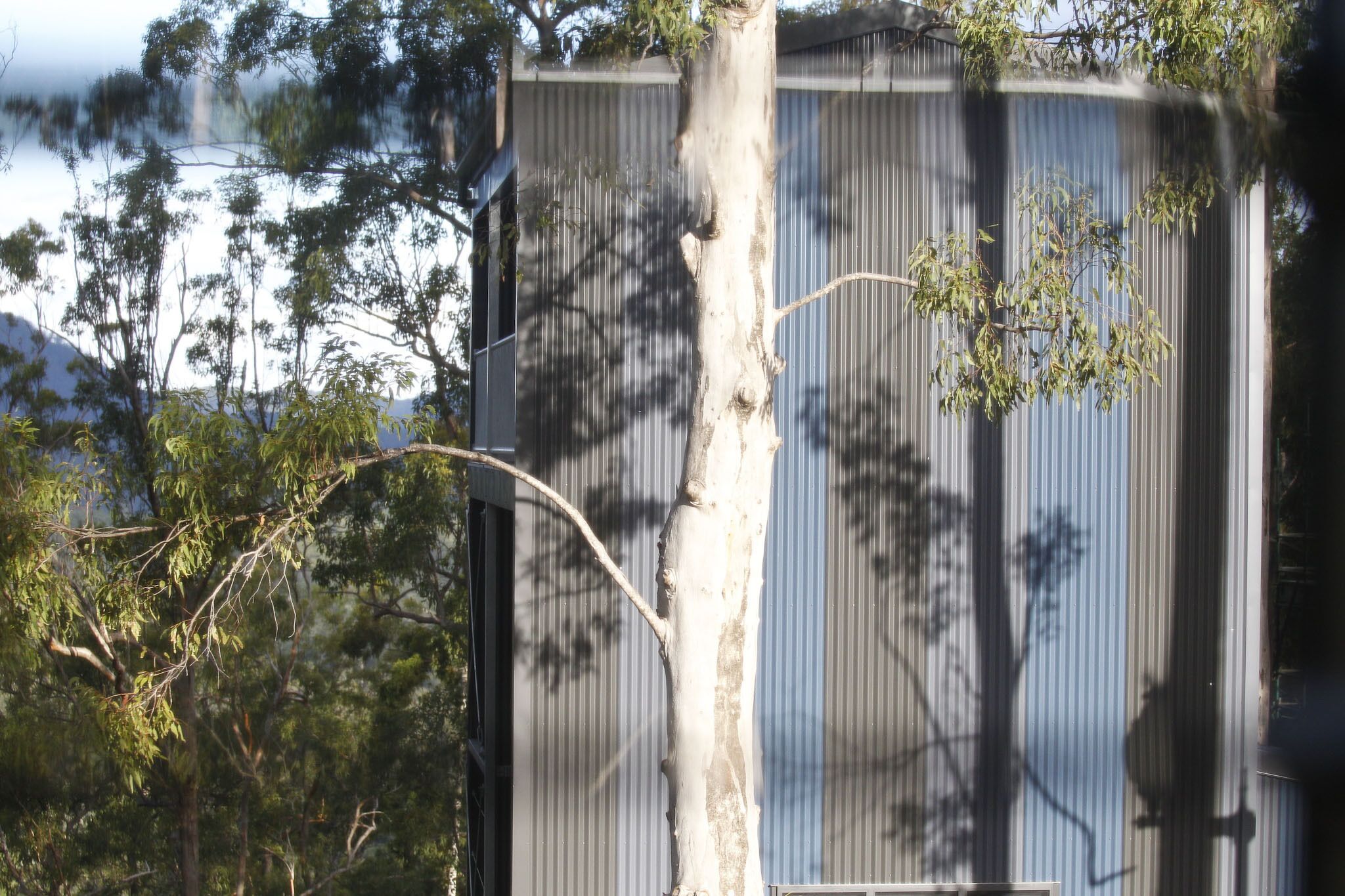 A corrugated metal building with a tree in front.