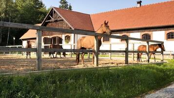 A stable with horses and a building with a red roof.