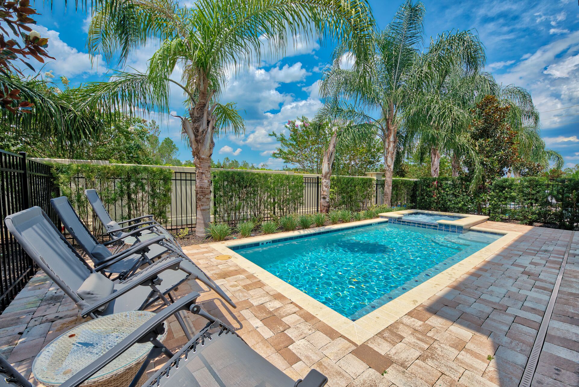 A swimming pool with lounge chairs and palm trees.