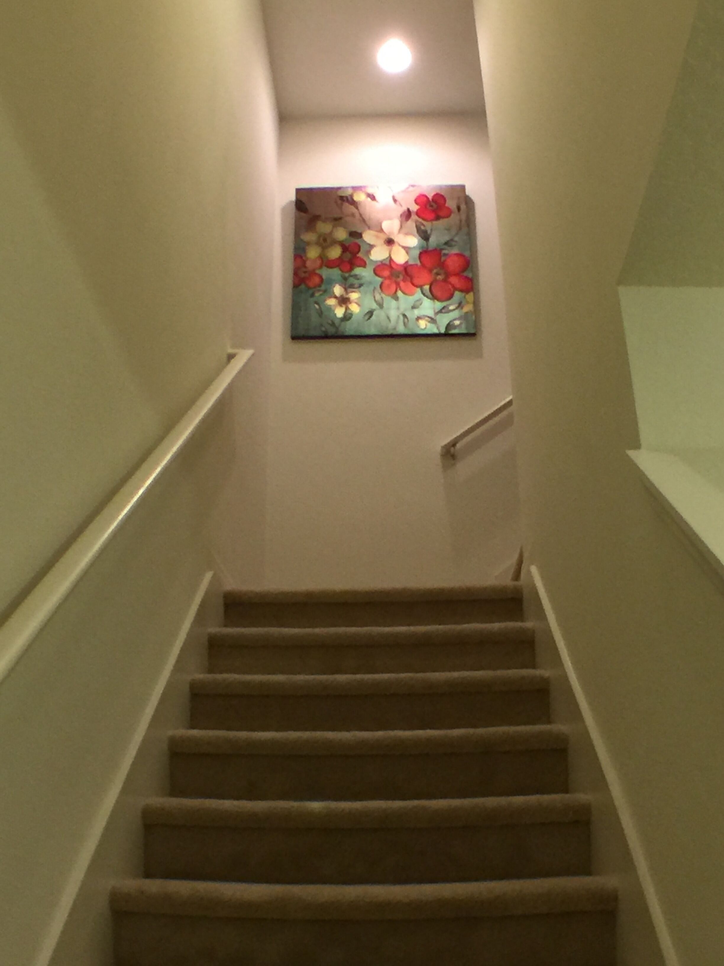 Un escalier recouvert de moquette, avec une main courante sur le côté gauche et un tableau de fleurs accroché au mur, en haut.