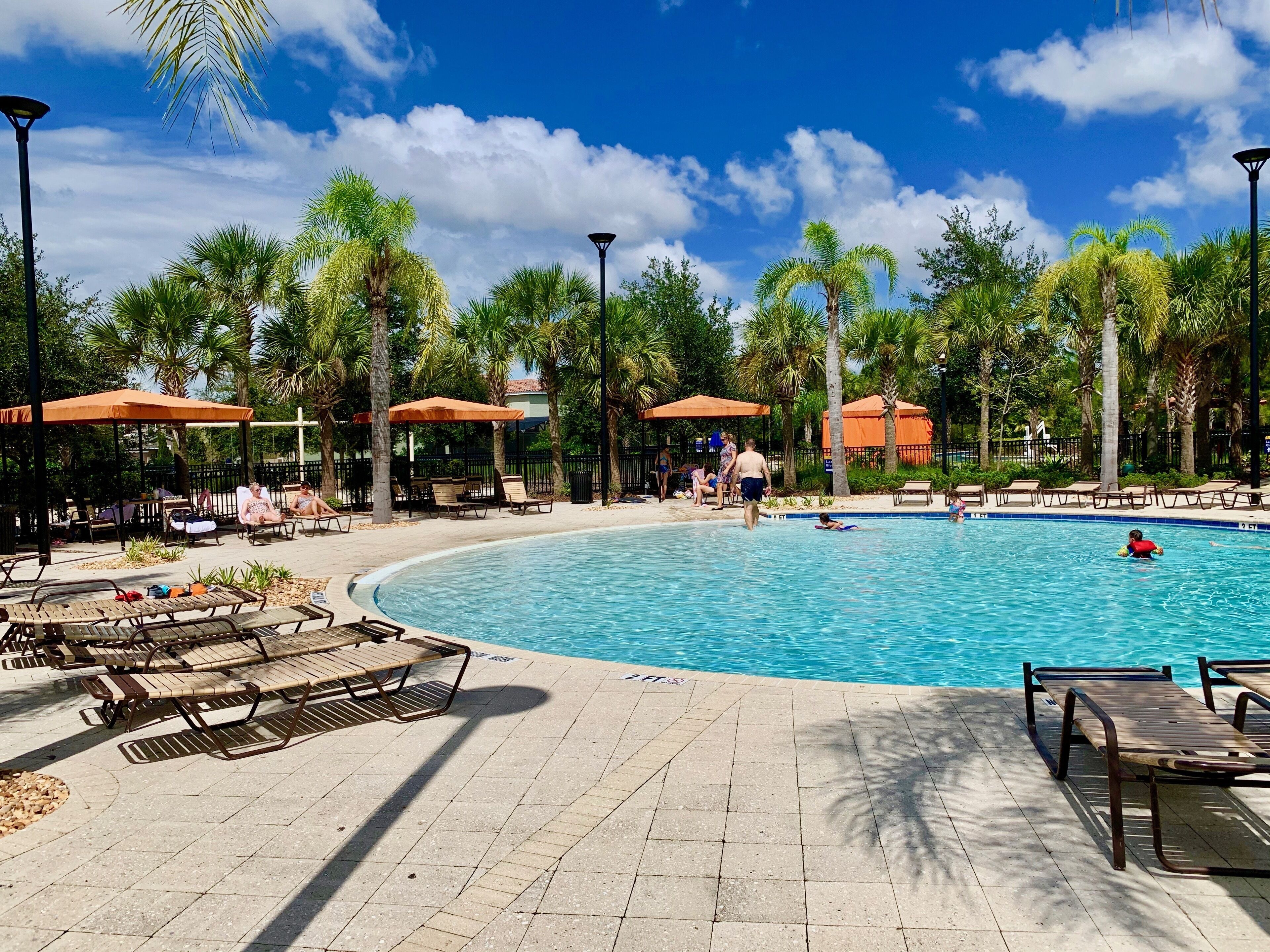 A pool area with lounge chairs, umbrellas, and palm trees.