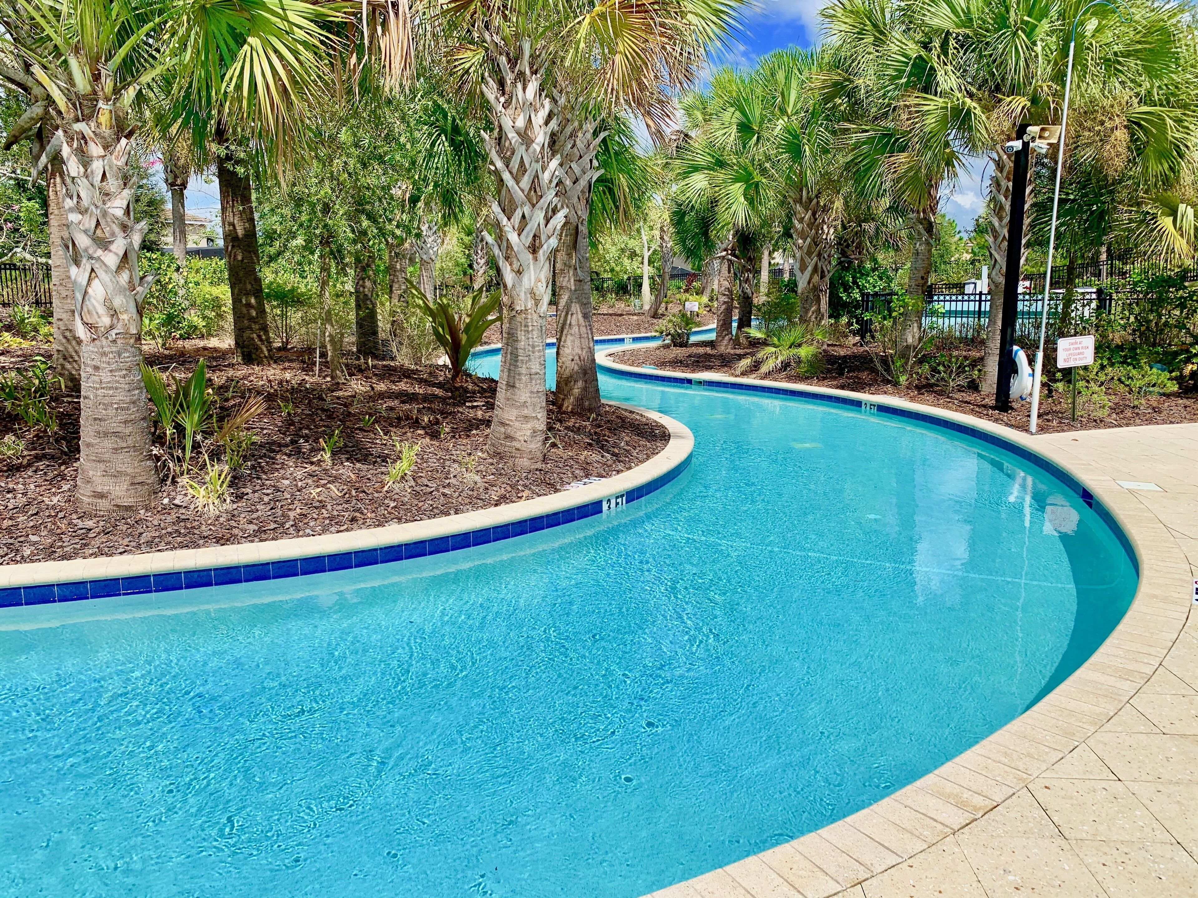A curved swimming pool surrounded by palm trees and a paved walkway.