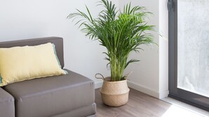 Apartment (0 Bedroom) | Bahagian dalam