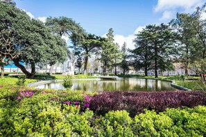 公寓 (1 Bedroom) | 內部