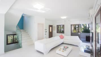 Smart TV, DVD player, table tennis, music library