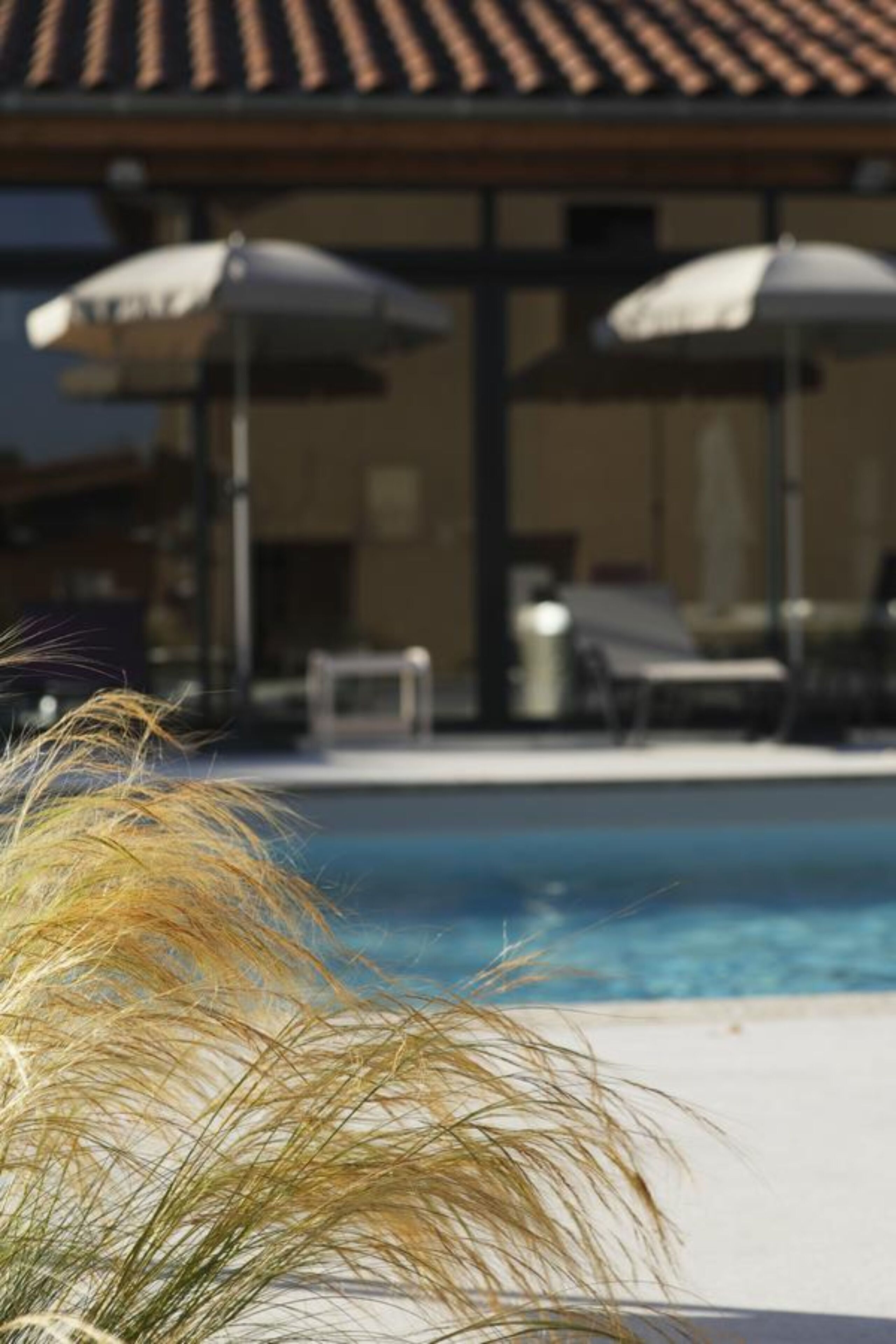 Seasonal outdoor pool, open 8:00 AM to 8:00 PM, pool umbrellas