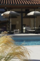 Un área de piscina con dos sombrillas y sillas de descanso.