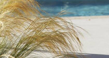 Auberge Bressane de Buellas