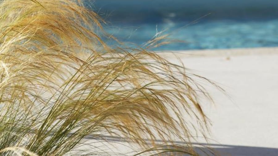 Auberge Bressane de Buellas