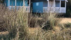 Deux cabanes de plage aux rambardes blanches, entourées d’herbes hautes et de sable.