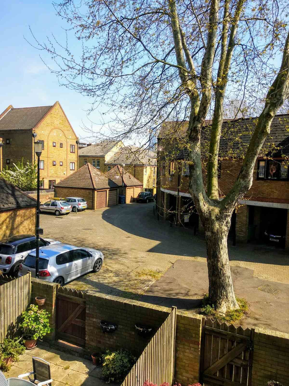 Un quartiere residenziale con case, auto parcheggiate e un grande albero.