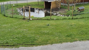 Jardin
