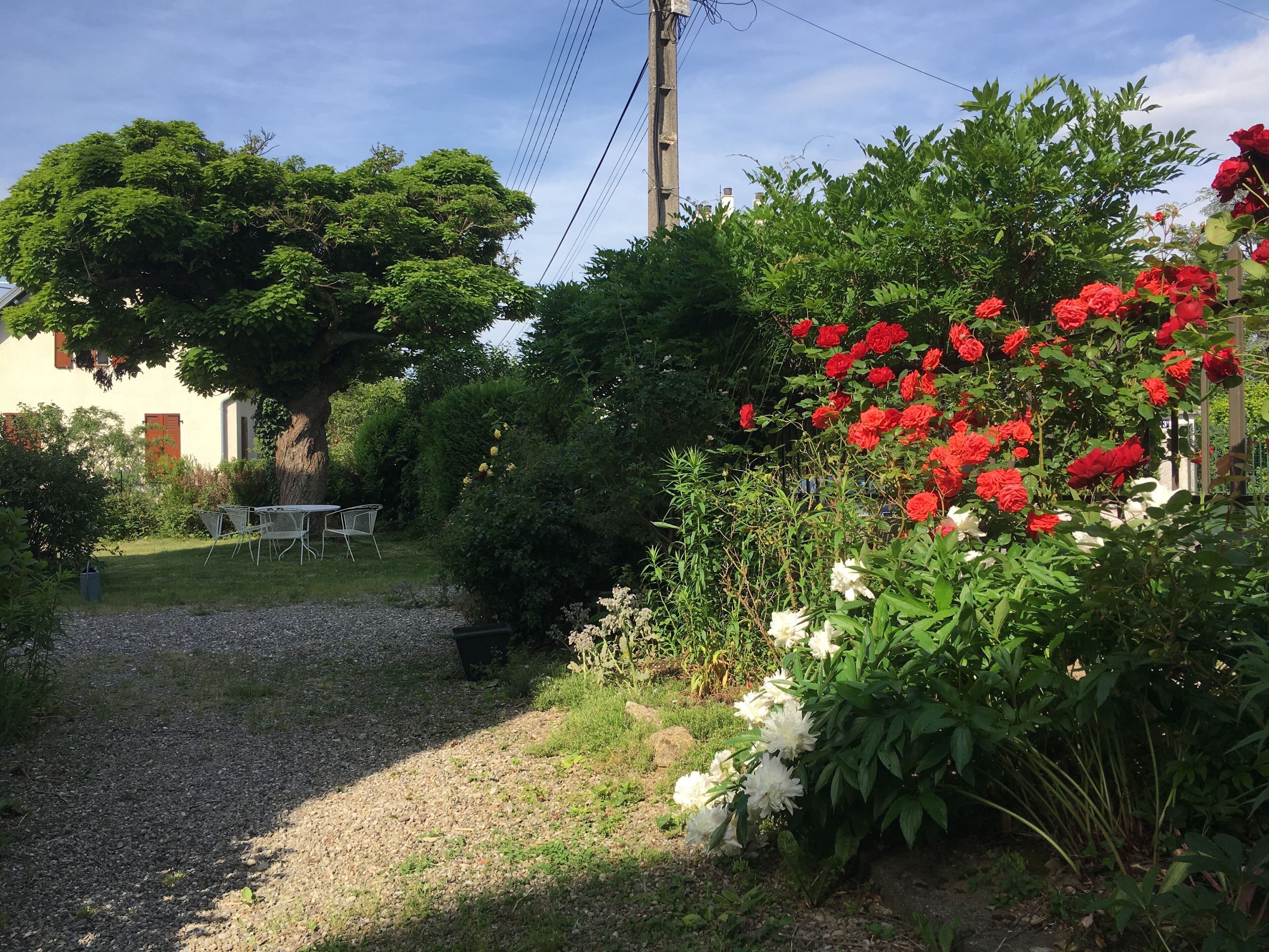 The Catalpa 🌳 city center, garden & parking!
