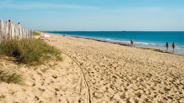 A sandy beach with footprints, a wooden fence, and a clear blue sky. - Nice apartment in villa for 5 people with WIFI, TV and terrace (Le Magouër)