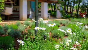 Ein Garten mit weißen Blüten im Vordergrund und ein Gebäude mit Säulen im Hintergrund.