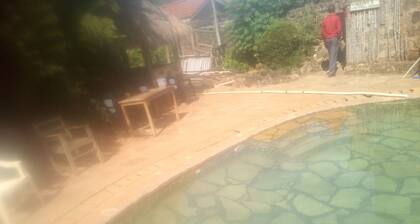 Roots Resort
