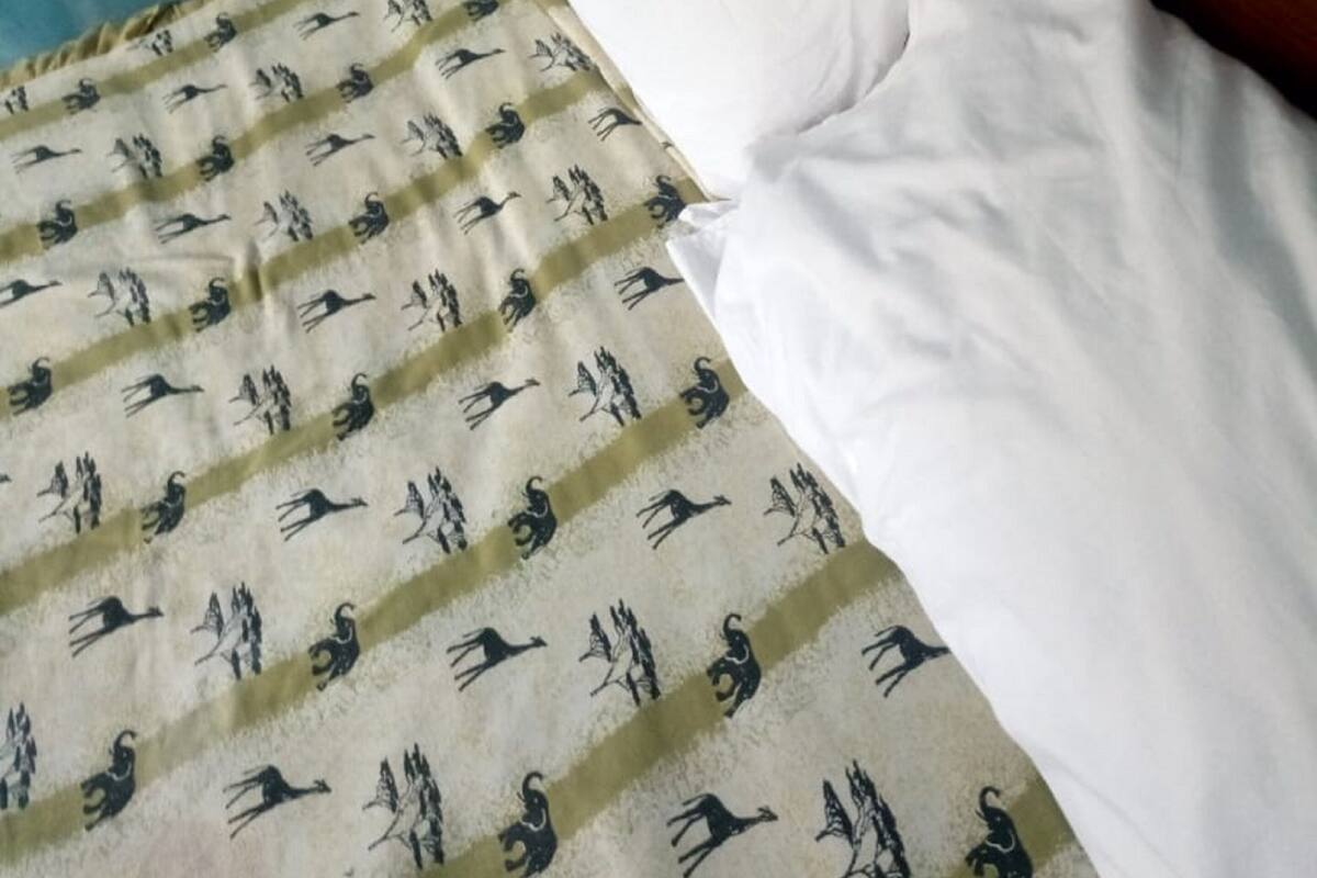Escritorio, wifi gratis y ropa de cama