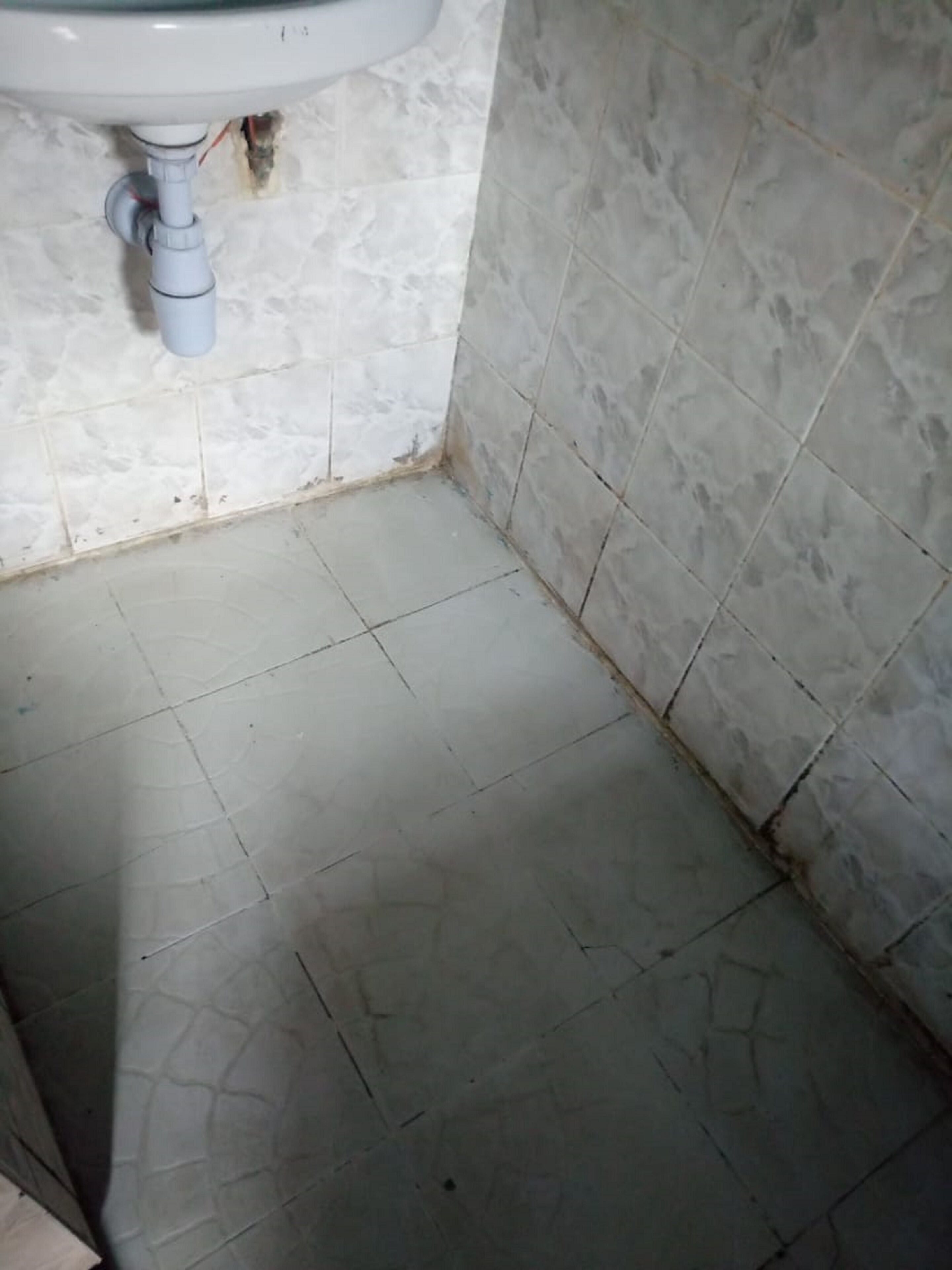 Single Room | Bathroom shower