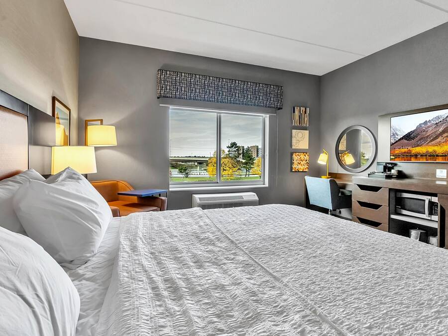 A hotel room with a large bed, a desk, a chair, a TV, and a window with a view of a mountain and trees.