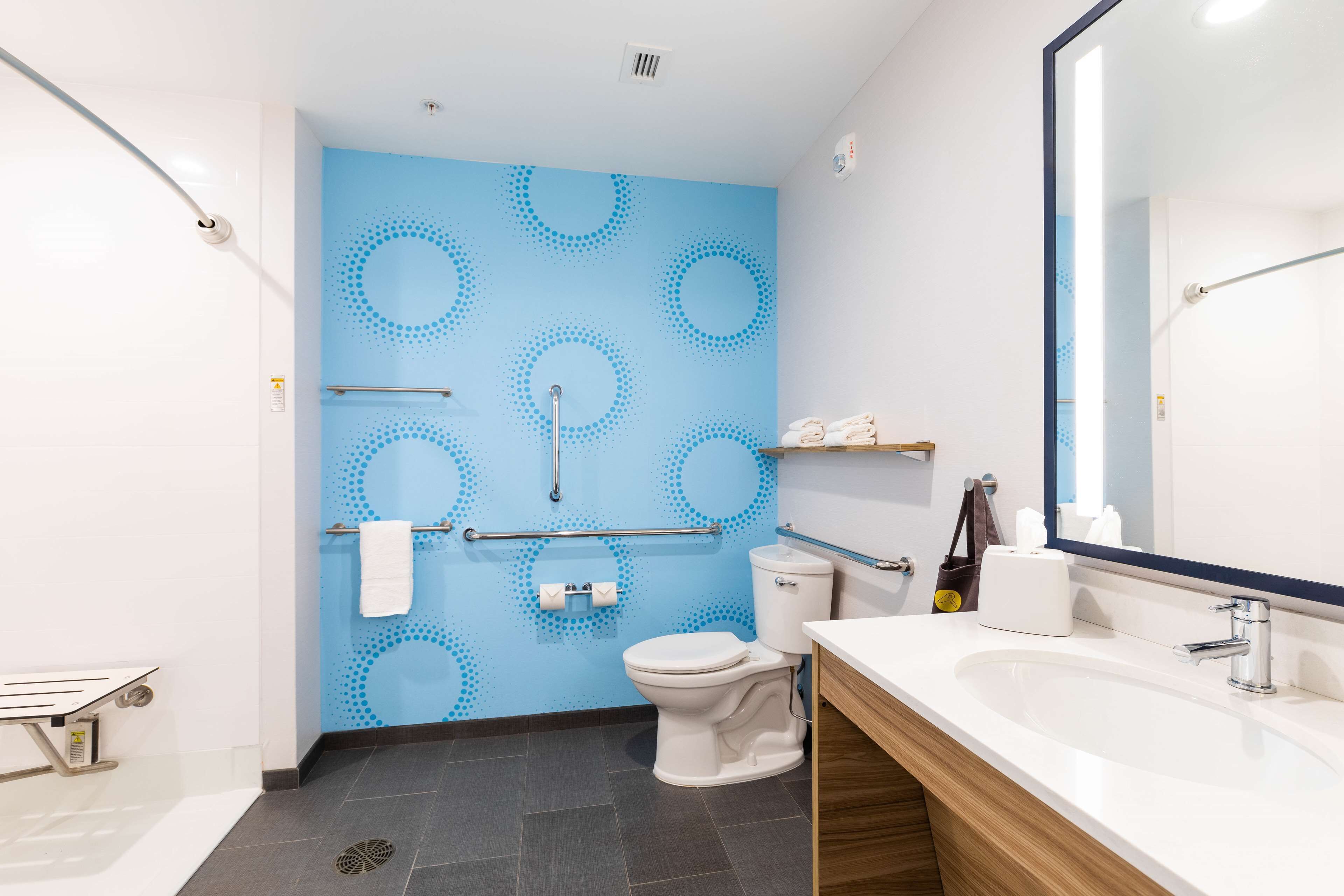 room, 1 king bed, accessible (mobility & hearing, roll-in shower) | hypo-allergenic bedding, desk, laptop workspace, blackout curtains