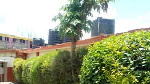 Jardí a la terrassa amb diversos tipus de plantes i una font.