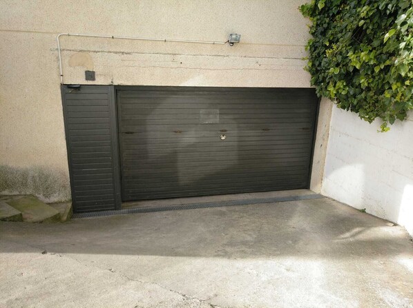 A closed garage door with a metal handle, a concrete floor, and a wall with a green leafy vine.