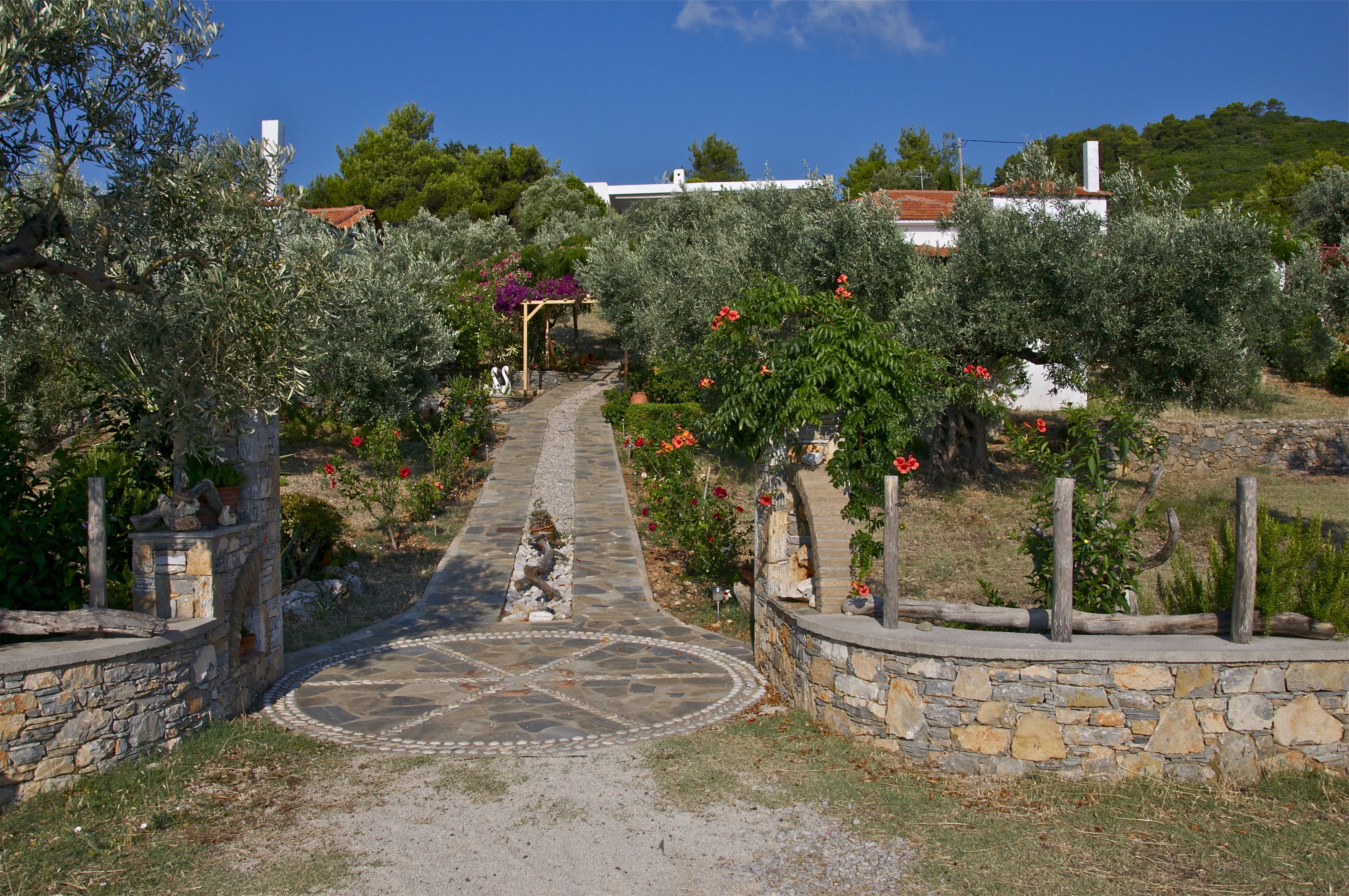 A stone pathway leading to a white building with a red roof, surrounded by olive trees and flowering plants.
