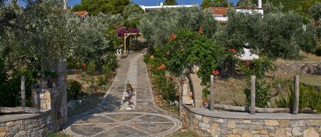 A stone pathway leading to a white building with a red roof, surrounded by olive trees and flowering plants.