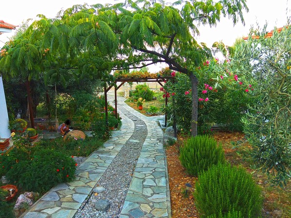 Basic House (Jasmine) | Garden view