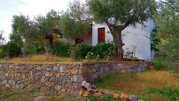 Basic House (Jasmine) | Garden view