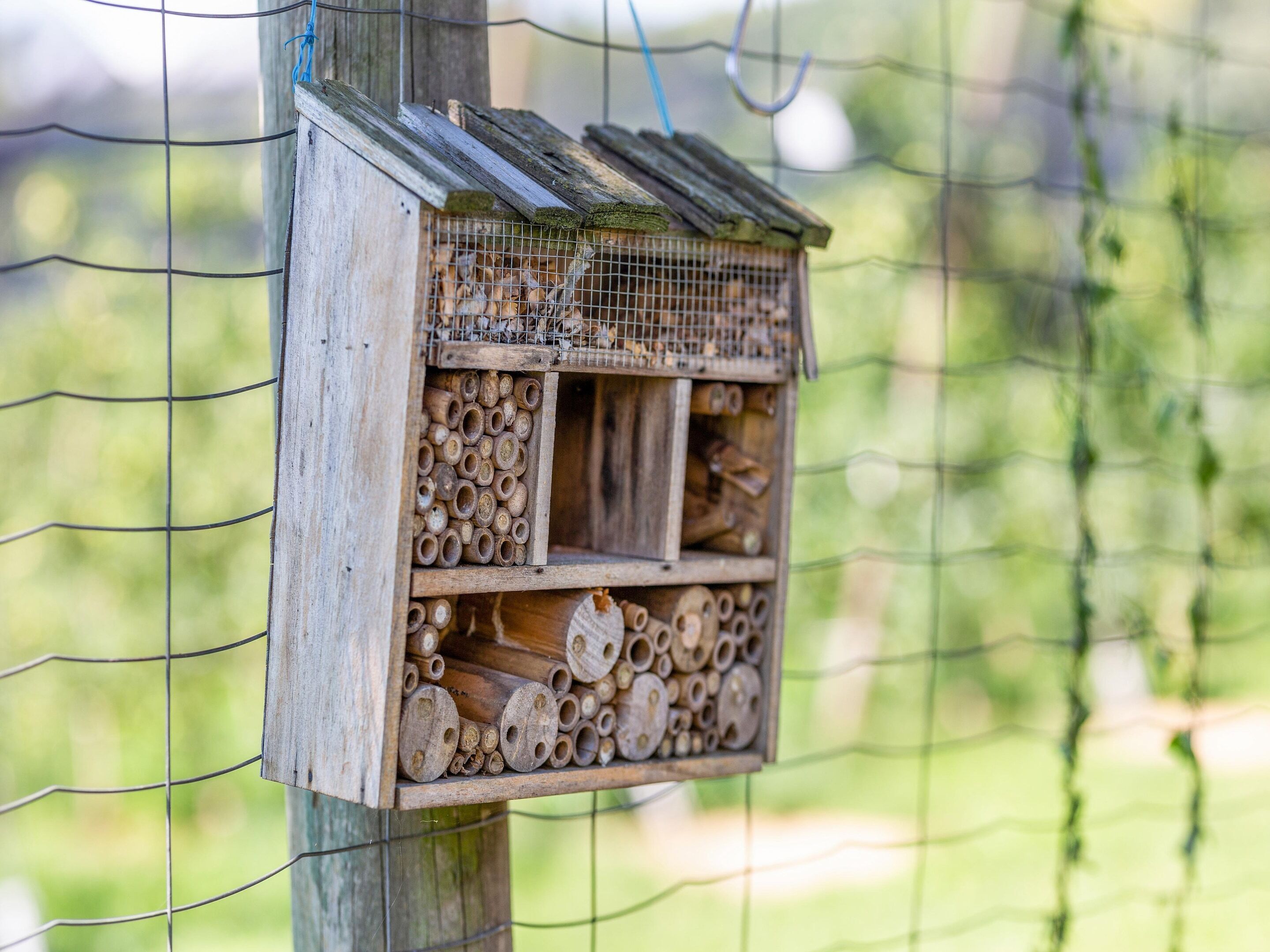 A wooden birdhouse with multiple compartments for nesting, attached to a wire fence.