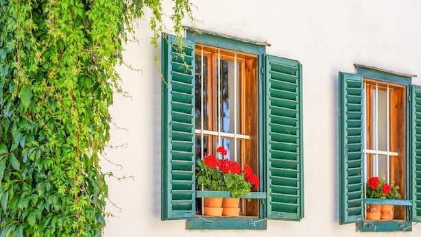 Dos ventanas con contraventanas verdes, cada una con una planta en maceta.