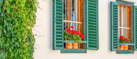 Maison | DĂ©tail de lâintĂ©rieur