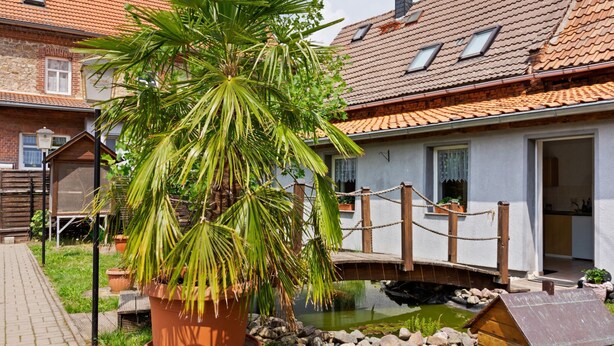 A residential property with a garden, a small pond, a wooden bridge, and a white building with a tiled roof. - Ferienhaus in Meisdorf (Falkenstein)