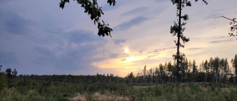Pemandangan dari properti