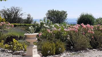 Villa | Garden