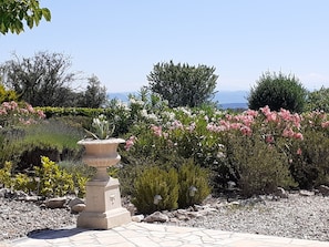 Un jardin agrémenté d’une fontaine en pierre, de différentes plantes et offrant une vue dégagée sur le ciel.