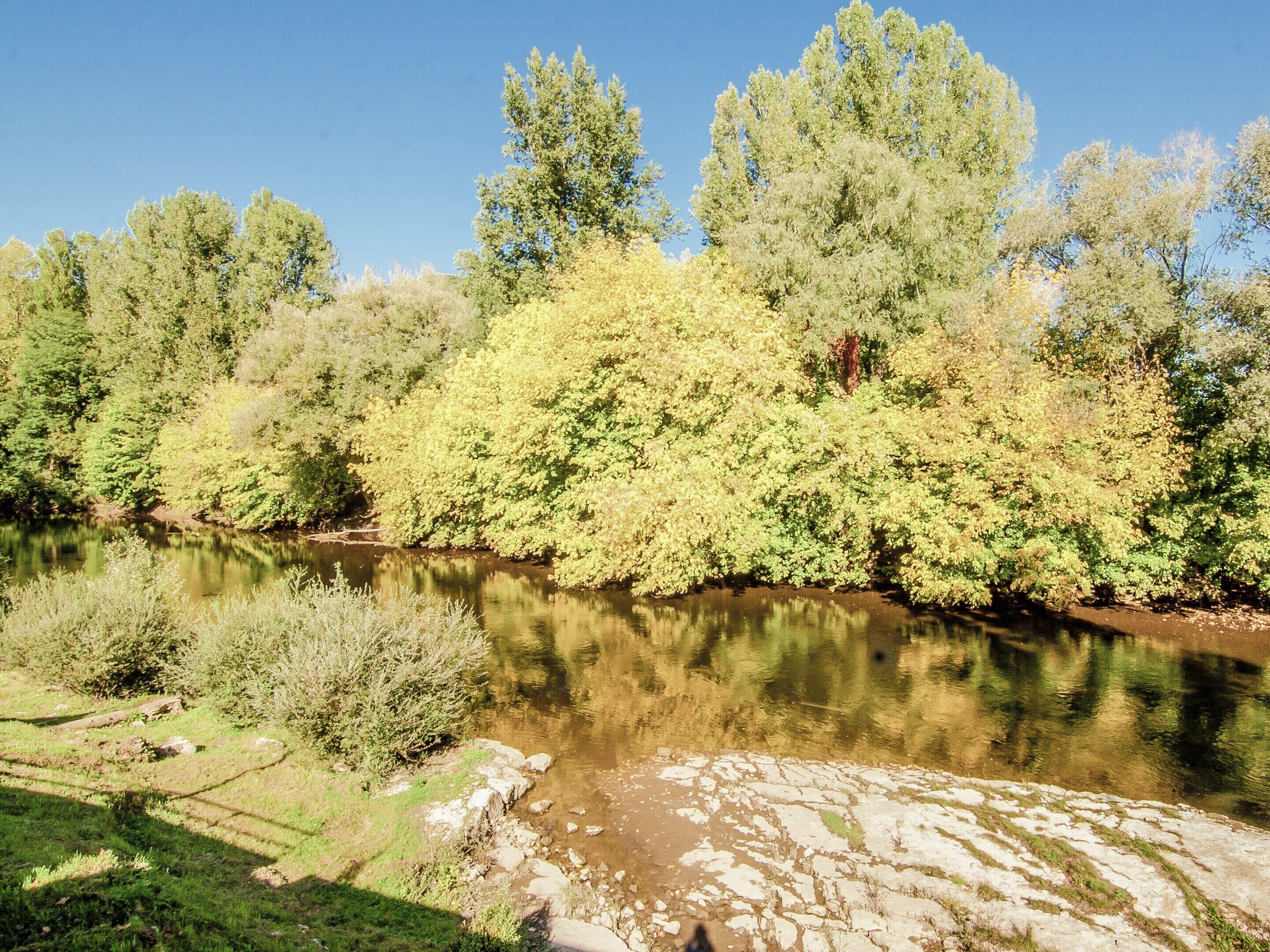 Une rivière bordée d’arbres dont le reflet se mire dans l’eau, le tout étant entouré de verdure.