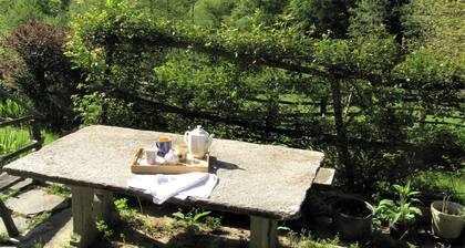 Beautiful Holiday Home in Madonna Del Sasso With Garden