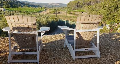 Villa in Provence With Pool and Vineyard Views