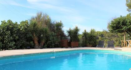 Villa in Provence With Pool and Vineyard Views